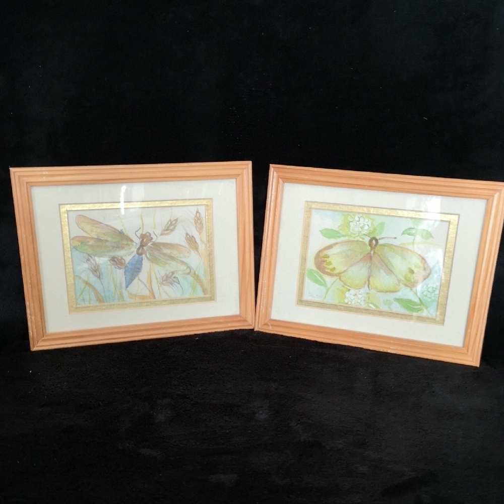 Set Of Two Signed Butterfly & Dragonfly Art Watercolour in Matching Wood Frames